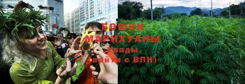 площадка какой сайт  Светогорск  Шишки марихуана Ganja 